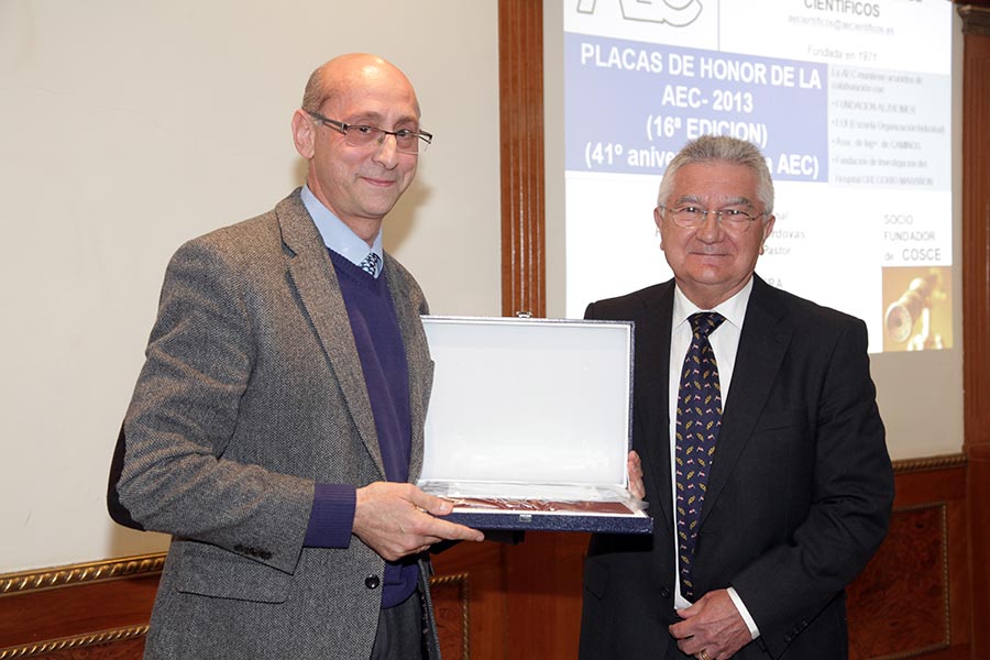 AEC DANIEL RAMON 2013