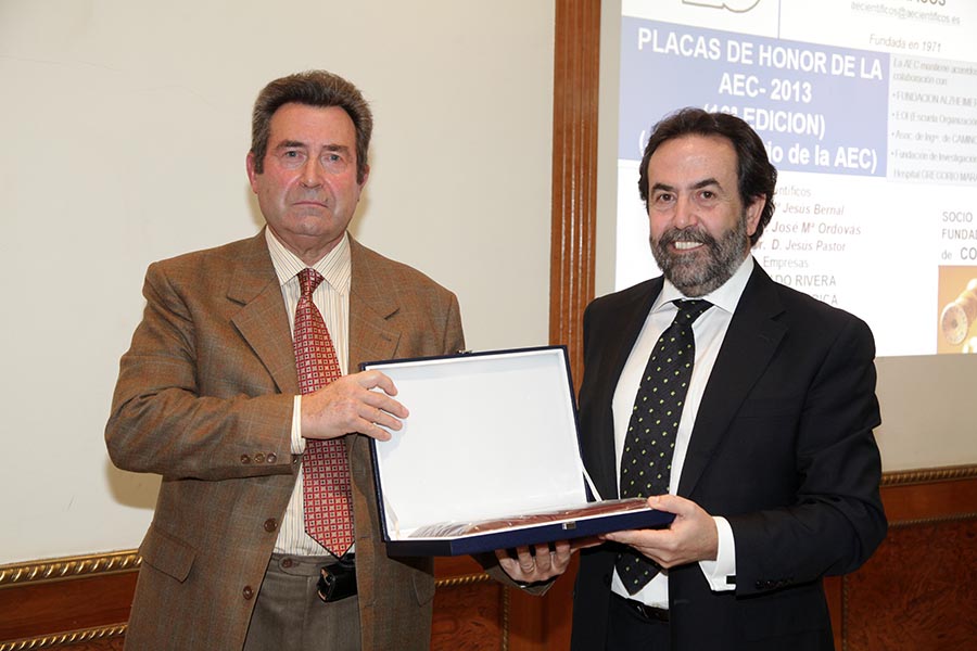 AEC FRANCISCO MURCIA REINOSO 2013