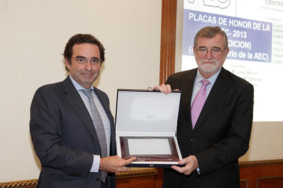 AEC PEDRO CAÑUELO 2013